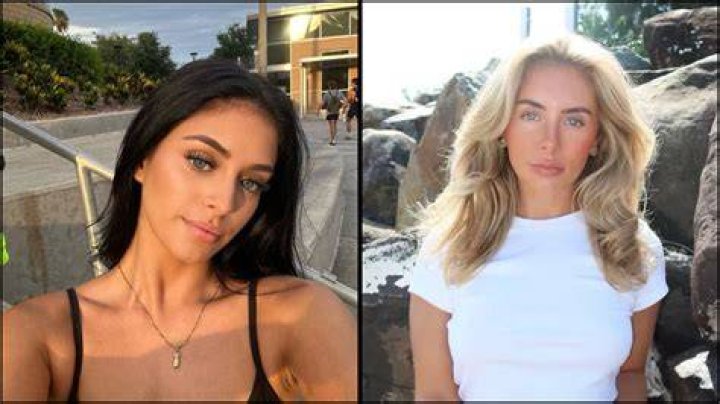 Exploring the Public Interest in Camilla Araujo Brother