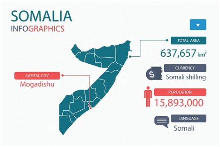What is the Blood Type of Somali People? Unveiling the ABO Distribution in Somalia
